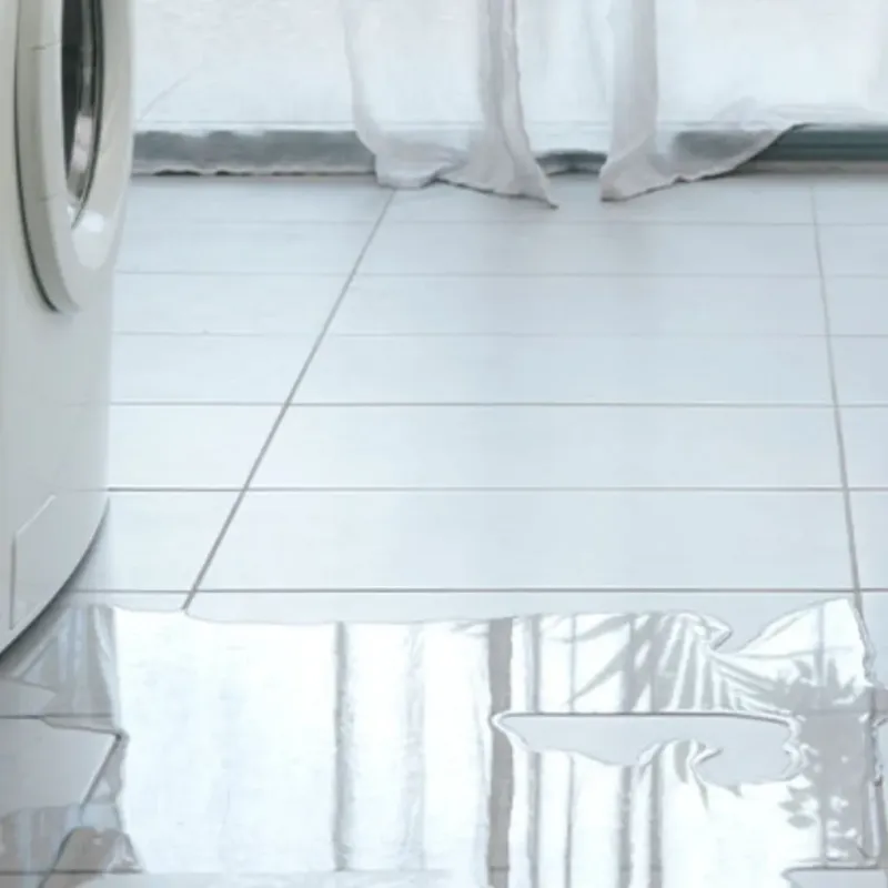 Appliance Leak Cleanup in Tucker County, WV