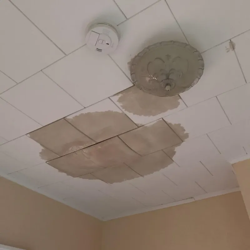 Ceiling Water Damage Repair in Tucker County, WV
