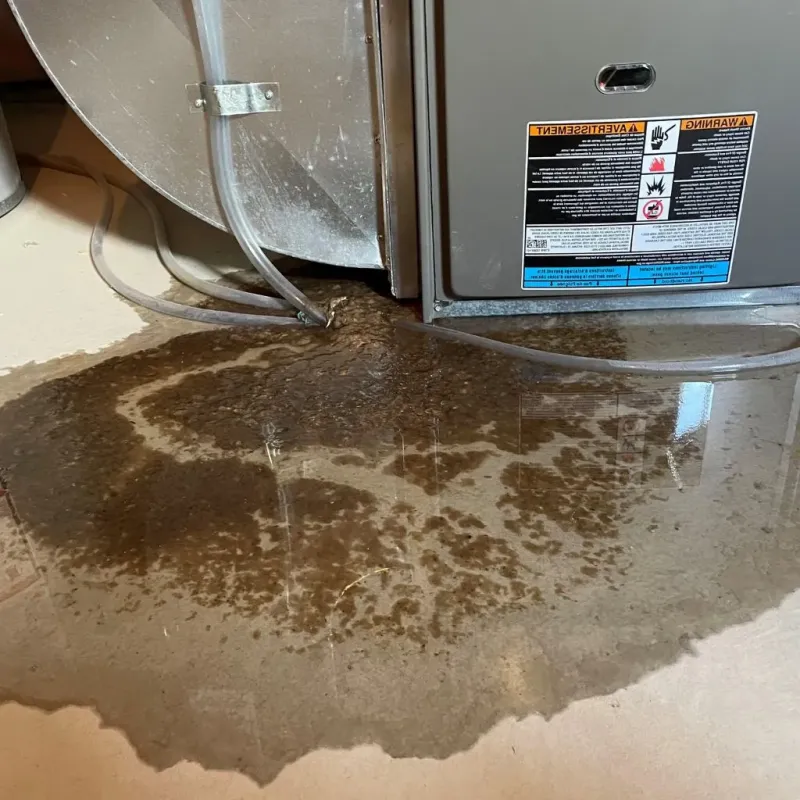 Pipe Burst and Leak Restoration in Tucker County, WV