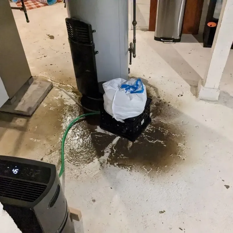Sewage Backup Cleanup Service in Tucker County, WV